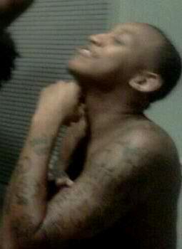 Campaign big trellsosa