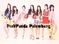 Fanbase APink in Palembang^^ Let's be friend and join with us support our girl~ 에이핑크 화이팅~!!! ^-^)9