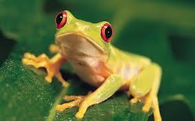 jarodmillsp's profile picture. 
