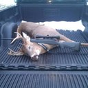 Bobby Hewitt - @bobby88hewitt - Twitter