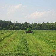 TopQualityHay's profile picture. Marketing Agent for Top Quality Hay Processors