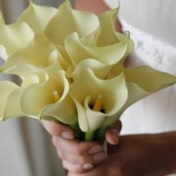 KarenJLRead's profile picture. 