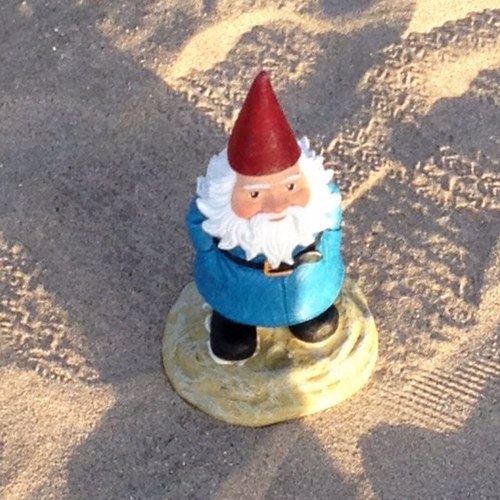 mrgorgol's profile picture. 