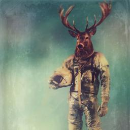 sugarplum_dream's profile picture. 