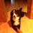 mirth67's profile image
