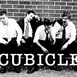 CUBICLEBand's profile picture. As seen on CNN - CUBICLE is a group of professionals specializing in training corp execs - Wall Street Polka - Ponzi Scheme - Cookin' the Books - Coffee Break