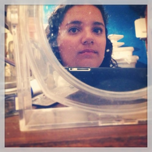 laveropineda's profile picture. 