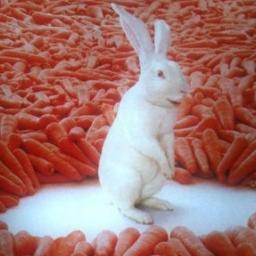 jason5794's profile picture. I like listening to music and watching movie,I want to make more friends in twitter!my e-mal:12ygf@sina.com