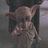 Dobby_isFree's profile image