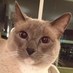 Daniel Lipkin (@danielmlipkin) Twitter profile photo