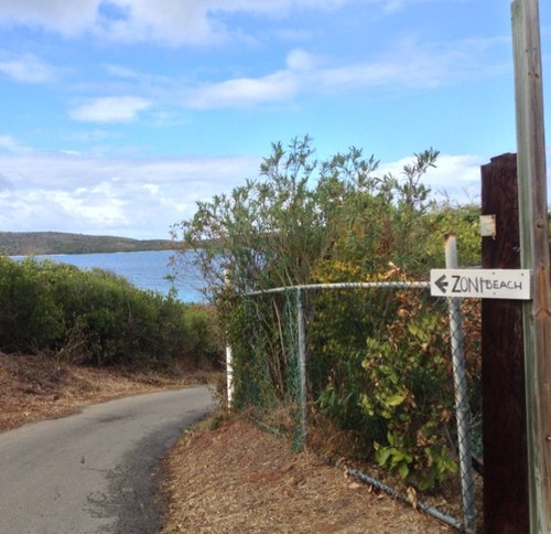 shmike3000's profile picture. 