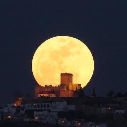 BalladoftheMoon's profile picture. 