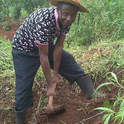 zinozik's profile picture. CEO O'Delight Ventures#
Agropreneur#
Monitoring and Evaluation Specialist#
Exchange Director @ IAAS Nigeria 2014#
National Director @IAAS Nigeria 2015