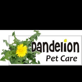 DandelionsDeb's profile picture. 