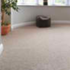 AUCKLAND’S NUMBER ONE IN CARPET CLEANING AND THE TRUSTED FABRIC EXPERTS