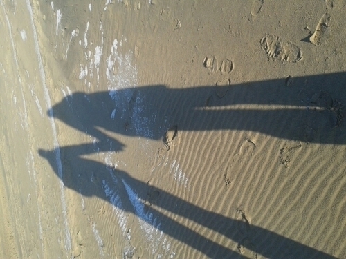 goesgoes's profile picture. 