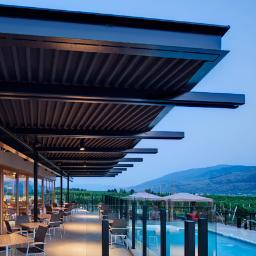 borntester1's profile picture. iamtester