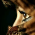 fitrie (@anefitrie) Twitter profile photo fitrie (@anefitrie) Twitter profile photo