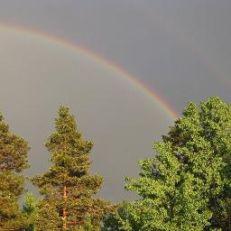 Luonnosta, kirjoista, elämästä. - About the nature, books and the life.