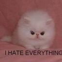 Senbonzakura - @SvendJensen4 - Twitter