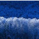 avril david noquis - @avrildavnoquis - Twitter