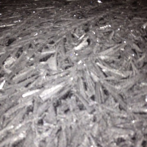 TrilogyUK's profile picture. 