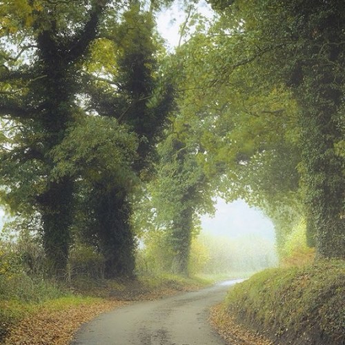 snobbism87's profile picture. 