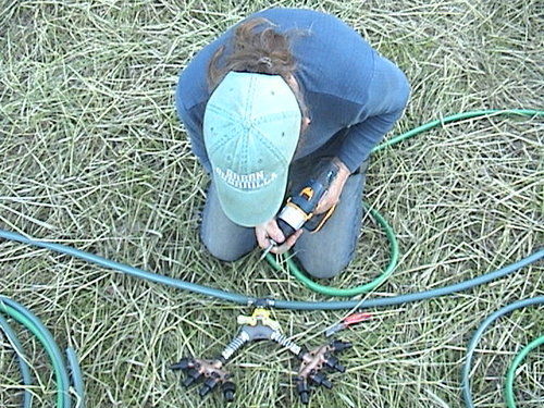 NYNaturalFarmer's profile picture. Change Planet