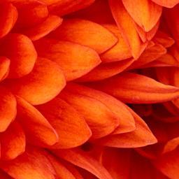 DemoHub's profile picture. This account is used exclusively for demo testing.  Posts here are from site visitors like you. See your post below? Cool, right? Now, sign up!