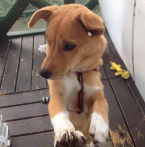 00136n's profile picture. 