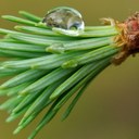 Paul Sparrow - @8Sparrow8 - Twitter