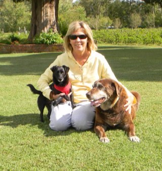 HendrixKing's profile picture. 