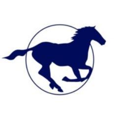 Specialists in riding holidays & horse safaris worldwide
Expert advice, personal recommendations and professional facilitation