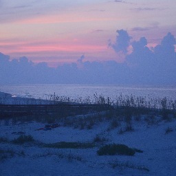 momuumi16's profile picture. 