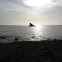 Rhys Lewis - @RhysDavidLewis - Twitter