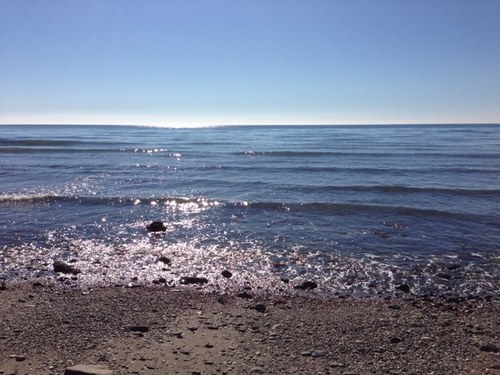 Jorge60871326's profile picture. 