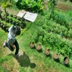 leblancuc's profile picture. nothi' specialabout me.