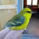 Bill Cuddy - @BillCuddy1 - Twitter