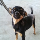 clint shepherd - @cdshepherd87 - Twitter