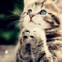 @Trixasthi (@trixasthi) 's Twitter Profile