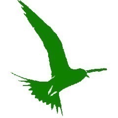 The official Twitter profile of Rochester Golf Week - providing the local community with regional, national, and global golf news 52 weeks a year since 1988.