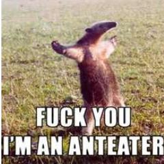 jamespatrickmu5's profile picture. im james i live in walton and love family guy