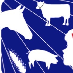 The Southeastern Youth Fair (SEYF) is the premier not-for-profit ALL-YOUTH Fair for 4-H and FFA students in Marion County, Florida each February.