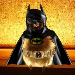 tomliangforever's profile picture. 