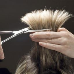 paulmichaelhair's profile picture. Paul Michael s' is a relaxed, welcoming salon and strives to offer customers a professional and friendly service.