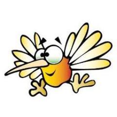 2hummingbirds2's profile picture. Old enough to know better, but twittering just the same.