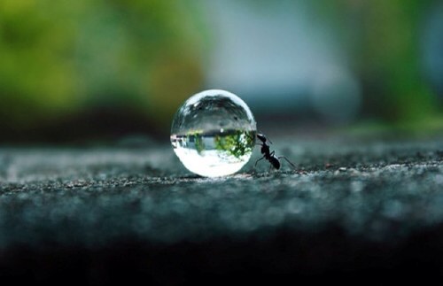 Dstar0802's profile picture. 