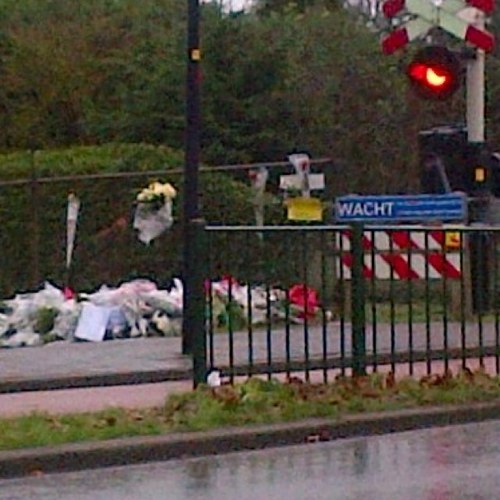 EenSterVoorGaby's profile picture. 25-01-'13† Rest In Peace Gaby .. //// stichters: @SDzinnetjes & @beebitoetx 
#EenSterVoorGaby..