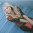 jennyfootball's profile image