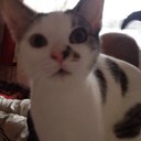 keeley Clements  - @keeleyclements - Twitter